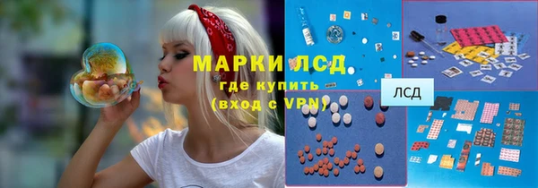 шишки Мегион