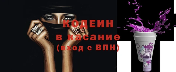 шишки Мегион