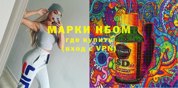 шишки Мегион