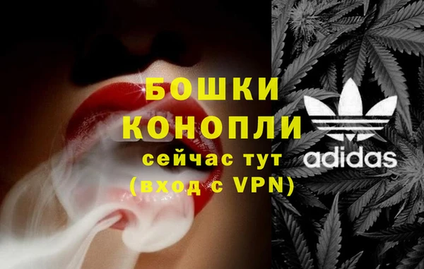шишки Мегион
