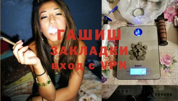 шишки Мегион