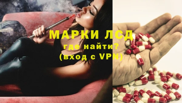гидропоника Медвежьегорск