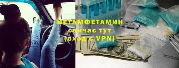 шишки Мегион