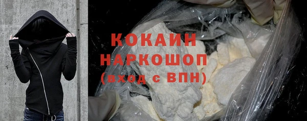 шишки Мегион